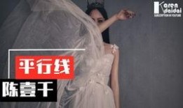 陈大事夫妇爆料视频大全,揭秘背后惊人真相
