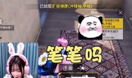 小熊爆料和平精英视频解说,深度解析和平精英精彩瞬间与战术技巧