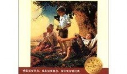 15漂流记在线观看,惊心动魄的冒险之旅