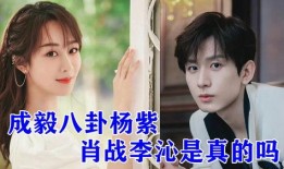 娱乐八卦爆料成毅杨紫视频,幕后真相曝光！