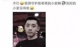 网红爆料张继科视频播放,网红爆料引发热议