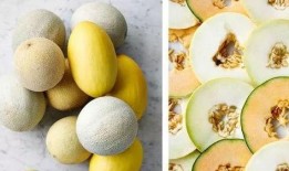 校园免费吃瓜链接最新,揭秘最新免费吃瓜活动攻略