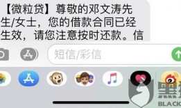 黑网贷最新爆料信息查询,揭秘巨额资金流向与惊人内幕