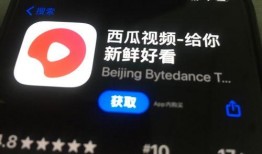 西瓜视频哪里有爆料,揭秘热门话题背后的真相