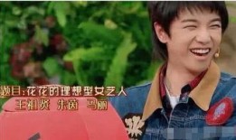 娱乐圈爆料粉丝文,粉丝文揭露明星背后的秘密