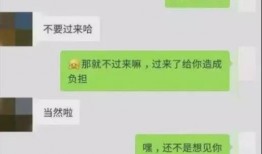 聊天吃瓜记录免费观看,免费观看背后的故事