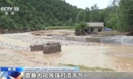 深圳爆料山洪最新消息今天,深圳山洪突发！最新救援进展及受灾情况通报