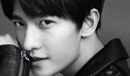 小鲜肉系列在线观看,青春活力，魅力四溢的视觉盛宴