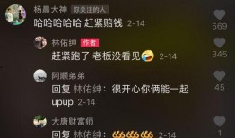 杨晨大神爆料羽毛球视频,羽毛球高手实战技巧全解析