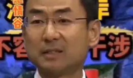 海峡新干线爆料事件视频,揭秘背后真相与争议