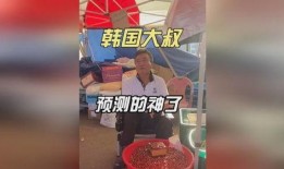 韩国大叔爆料视频大全在线观看,揭秘幕后真相，带你领略真实韩国