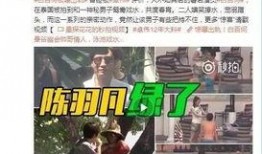 卓伟爆料丹峰视频播放下载,播放下载引发热议