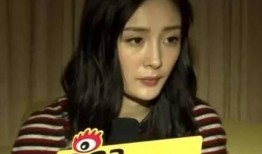 女星爆料男明星视频播放,真相背后引发娱乐圈地震