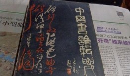爆料榆林探店视频大全,揭秘热门探店视频大全