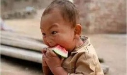 吃瓜看书免费观看,吃瓜看书，解锁娱乐阅读新体验