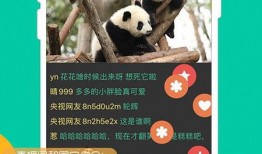 熊猫直播在线观看观看,畅享精彩瞬间，共赴网络盛宴