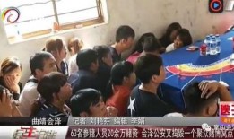 云南爆料新闻,揭开神秘事件背后的真相