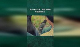 不中幻术就免费吃瓜,免费品尝神秘瓜果之旅
