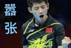 网红爆料张继科视频播放,网红爆料引发热议