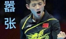 网红爆料张继科视频播放,网红爆料引发热议