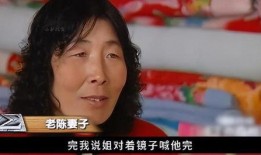 乡村老陈前妻爆料视频播放,揭秘婚姻背后的真相