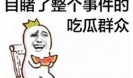 吃瓜系统娱乐圈沙雕动画,吃瓜系统带你笑翻银幕