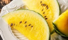 吃瓜看书免费观看,吃瓜看书，解锁娱乐阅读新体验