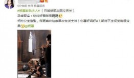 最新酒店花絮爆料文案,独家花絮爆料，一窥奢华背后的故事