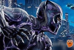 黑豹皮肤爆料视频网页,全新视觉盛宴，带你领略神秘非洲风情