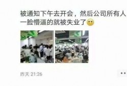 十团最新爆料,最新爆料背后的惊人真相