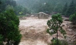 深圳爆料山洪最新消息今天,深圳山洪突发！最新救援进展及受灾情况通报