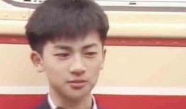 小鲜肉系列在线观看,青春活力，魅力四溢的视觉盛宴