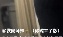 许家主播爆料视频播放在线观看,独家内容在线观看揭秘